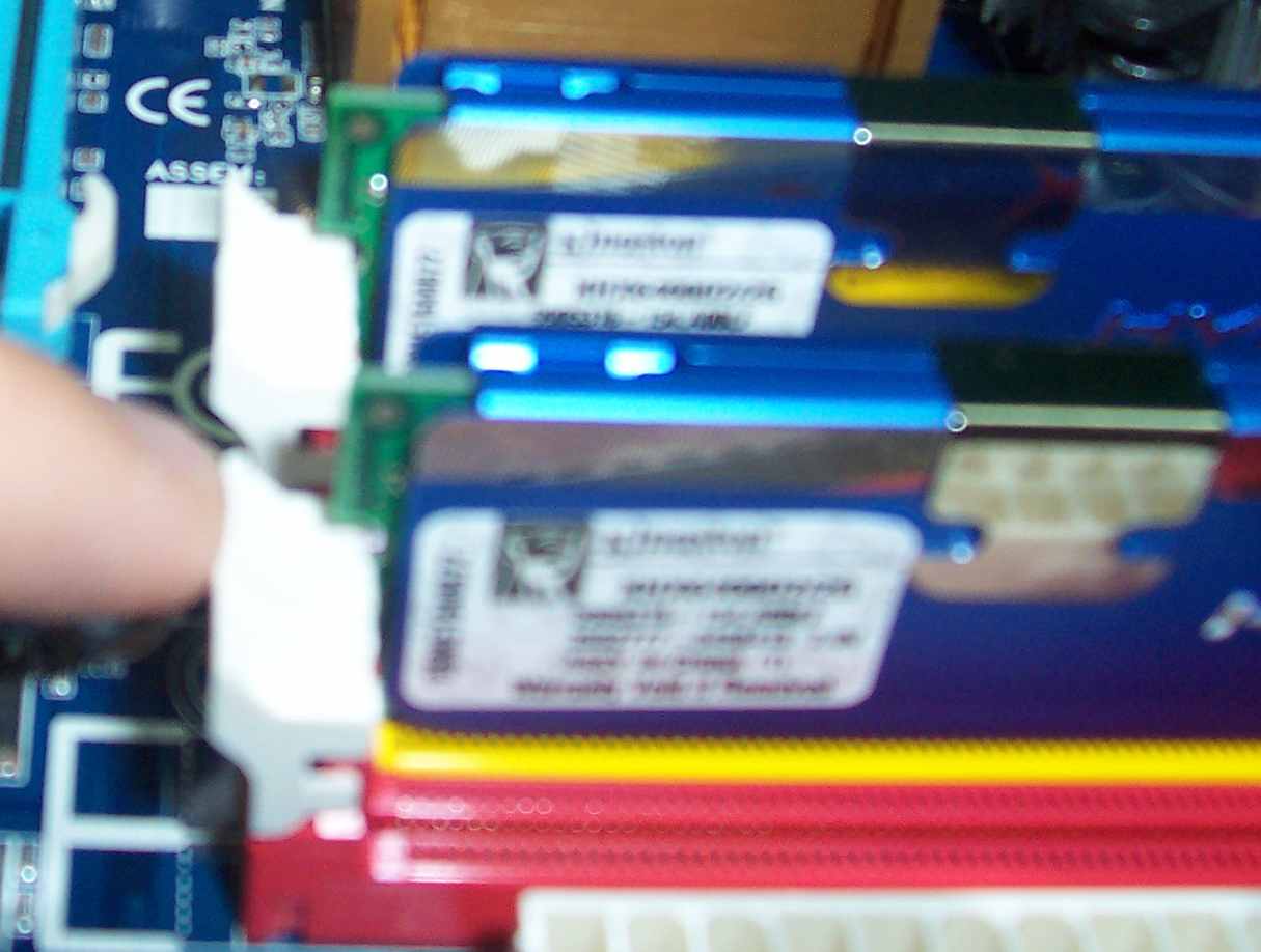 ram