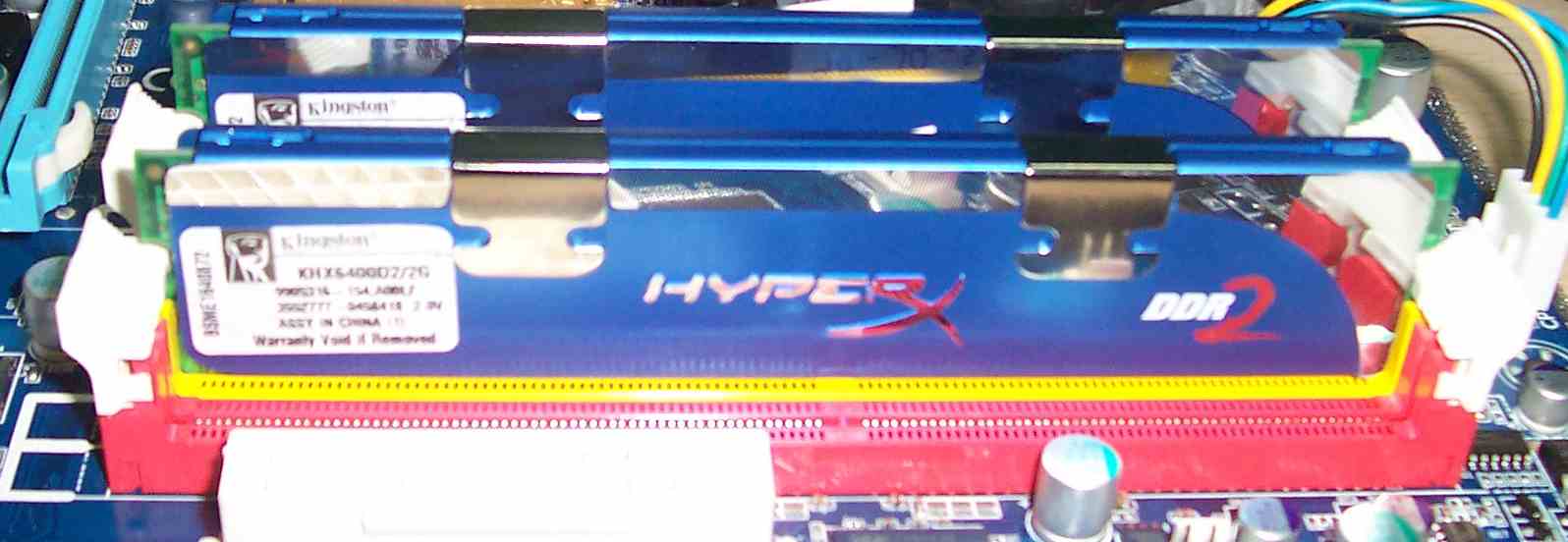 ram