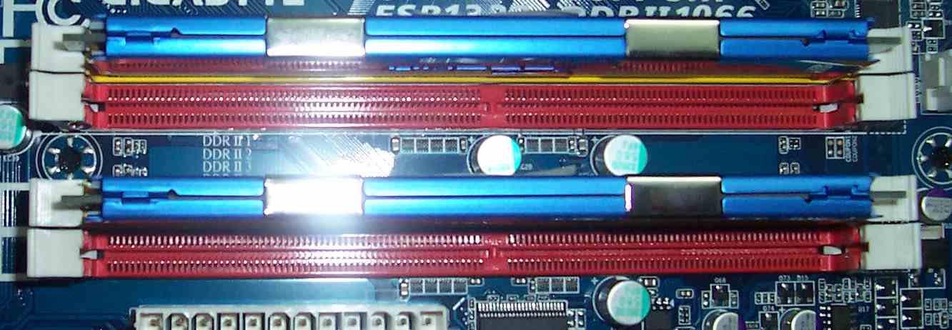 ram
